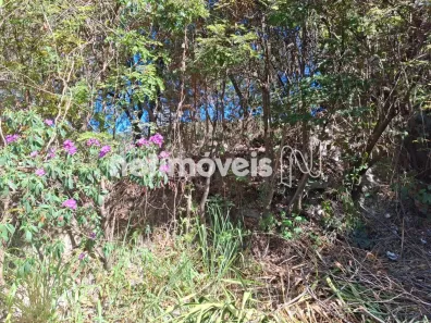 Lote/Terreno à venda, 367m² no Santa Lúcia, Belo Horizonte