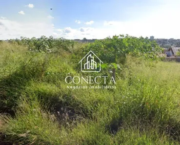 Lote/Terreno à venda, 980m² no Jardim Colina, Uberlândia