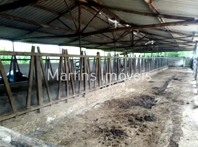 Fazenda/Sítio com 4 Quartos à venda, 1113200m² no Centro, Cachoeiras de Macacu