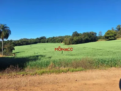 Fazenda/Sítio com 3 Quartos à venda, 100m² no Gleba Fazenda Palhano, Londrina