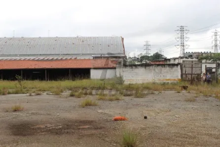 Lote/Terreno para alugar, 5014m² no Jardim Aricanduva, São Paulo