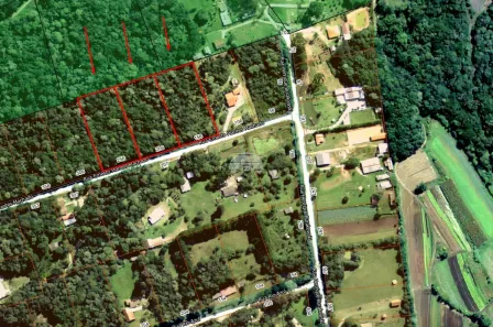 Fazenda/Sítio à venda, 5000m² no São Marcos, São José dos Pinhais