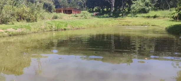 Fazenda/Sítio à venda, 5000m² no , Bela Vista de Goiás
