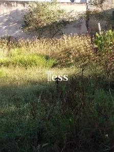 Lote/Terreno à venda, 200m² no Residencial Palestra, São José do Rio Preto
