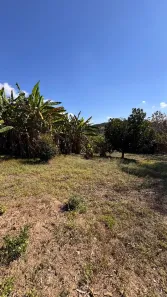 Fazenda/Sítio com 2 Quartos à venda, 2880m² no Tereza Cristina, São Joaquim de Bicas