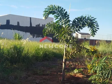 Lote/Terreno à venda, 500m² no , Mandaguaçu