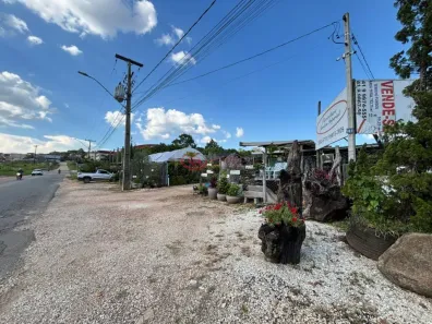 Lote/Terreno à venda, 1206m² no Mauá, Colombo