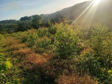 Lote/Terreno à venda, 105000m² no Alagoinhas Velha, Alagoinhas
