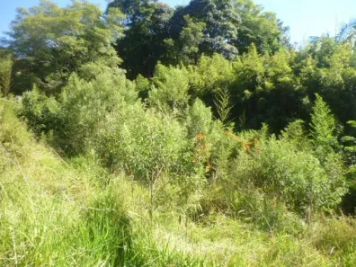 Lote/Terreno à venda, 1643m² no Vivendas do Engenho D'Água, Itatiba