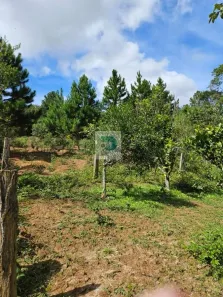 Fazenda/Sítio à venda, 5000m² no Cocuera, Mogi das Cruzes