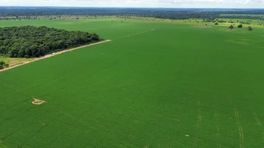 Fazenda/Sítio com 5 Quartos à venda, 147m² no , Nova Crixás