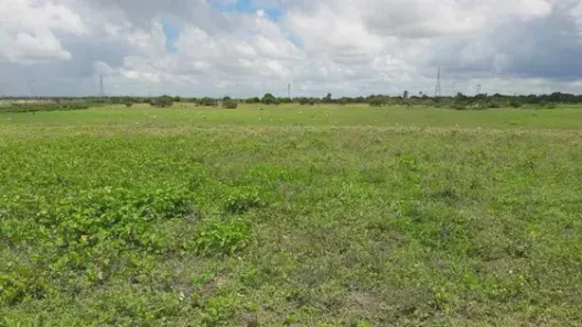 Fazenda/Sítio com 2 Quartos à venda, 1700000m² no , Monte Alegre