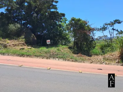 Lote/Terreno à venda, 557m² no Ambrósio, Garopaba