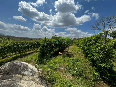 Lote/Terreno à venda, 30000m² no Água Verde, Guaiúba