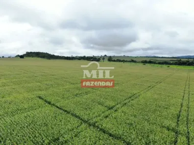 Fazenda/Sítio à venda, 500m² no , Santa Cruz de Goiás
