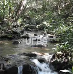 Fazenda/Sítio com 6 Quartos à venda, 1936m² no Centro, Pirenópolis