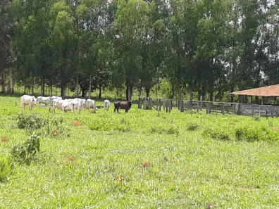 Lote/Terreno à venda, 20000m² no , Araçaí