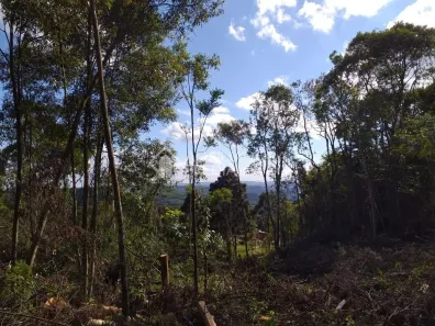 Lote/Terreno à venda, 50000m² no Centro, Gramado