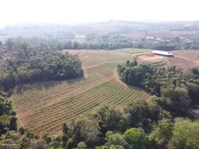 Fazenda/Sítio à venda, 100762m² no Área Rural de Santo Antônio de Posse, Santo Antônio de Posse