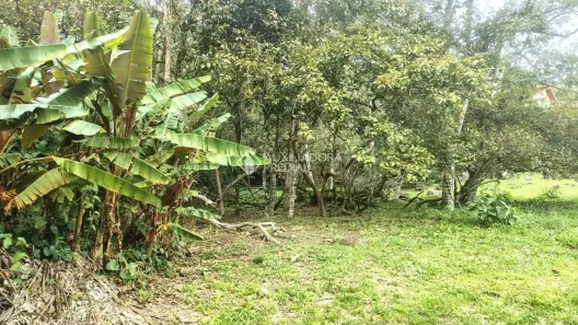Lote/Terreno à venda, 471m² no Córrego Grande, Florianópolis
