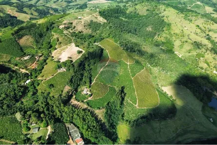 Fazenda/Sítio com 3 Quartos à venda, 87725m² no , Serra Negra