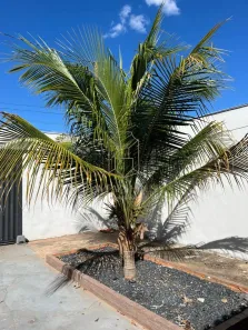 Casa com 2 Quartos para alugar, 100m² no Morada da Serra, Cuiabá