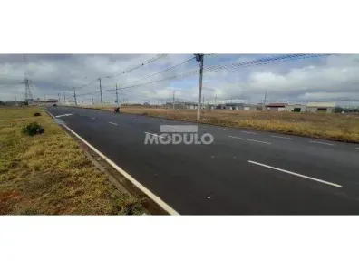 Lote/Terreno para alugar, 1200m² no Jardim Canaã, Uberlândia