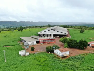 Fazenda/Sítio à venda, 500m² no , Santa Cruz de Goiás