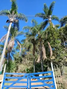 Fazenda/Sítio à venda, 2000m² no Bairro da Pernambucana, São José dos Campos