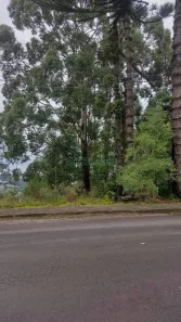 Lote/Terreno à venda, 2932m² no Petrópolis, Caxias do Sul
