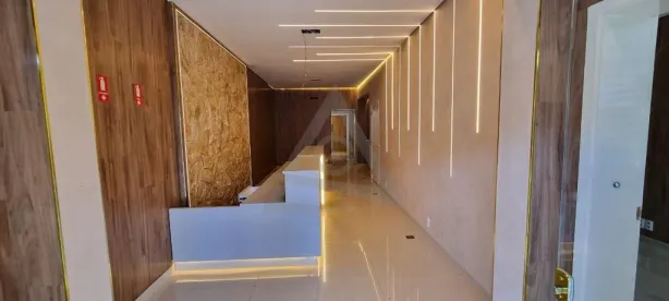 Imóvel Comercial com 5 Quartos para alugar, 230m² no Cambuí, Campinas