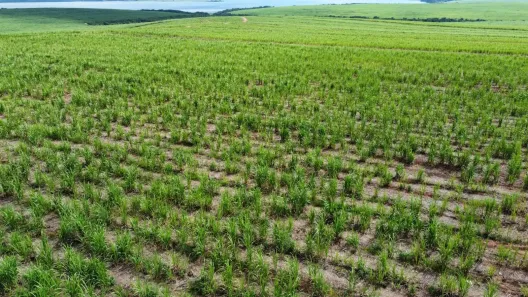 Fazenda/Sítio à venda, 2081200m² no Área Rural de Piracicaba, Piracicaba