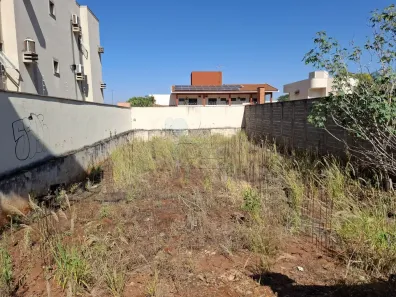 Lote/Terreno para alugar, 438m² no Ribeirânia, Ribeirão Preto