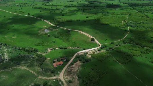 Fazenda/Sítio à venda, 1110000m² no Itabaiana, Itabaiana