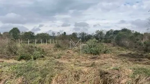 Lote/Terreno à venda, 558m² no Roseira de São Sebastião, São José dos Pinhais