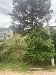 Lote/Terreno à venda, 300m² no Santa Terezinha, Garibaldi