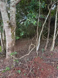 Fazenda/Sítio à venda, 1000m² no , Gameleira de Goiás