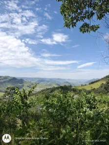 Fazenda/Sítio à venda, 450000m² no , Delfim Moreira