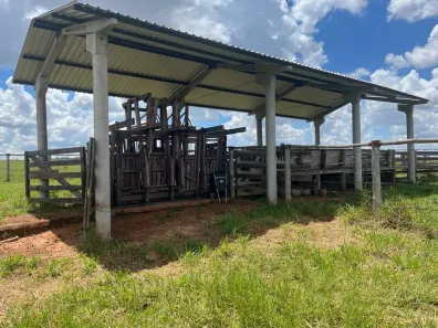 Fazenda/Sítio à venda, 302000m² no Centro, Santa Rita do Pardo