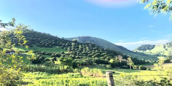 Fazenda/Sítio com 2 Quartos à venda, 300m² no Carmo, Carmo