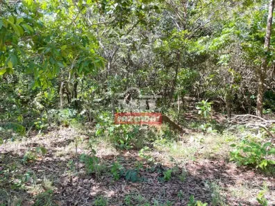 Fazenda/Sítio à venda, 968000m² no , Uruaçu