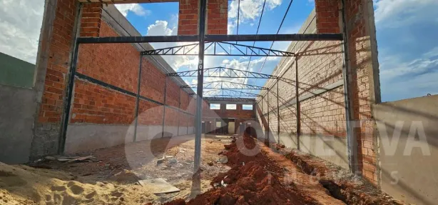 Galpão/Depósito/Armazém para alugar, 350m² no Aclimação, Uberlândia