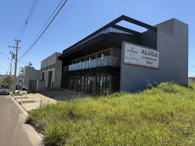 Ponto Comercial para alugar, 30m² no Residencial Setsul II, São José do Rio Preto