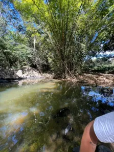 Fazenda/Sítio com 2 Quartos à venda, 204m² no , Pacoti