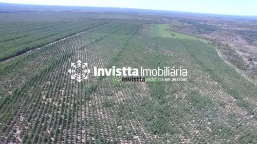 Fazenda/Sítio à venda, 1050m² no , Rio Sono
