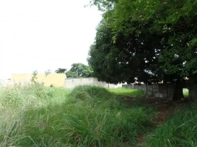 Lote/Terreno para alugar, 563m² no Vila Rosa, Goiânia