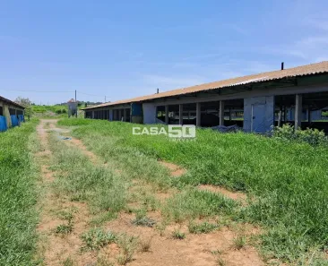 Fazenda/Sítio com 1 Quarto à venda, 242000m² no Centro, Elias Fausto