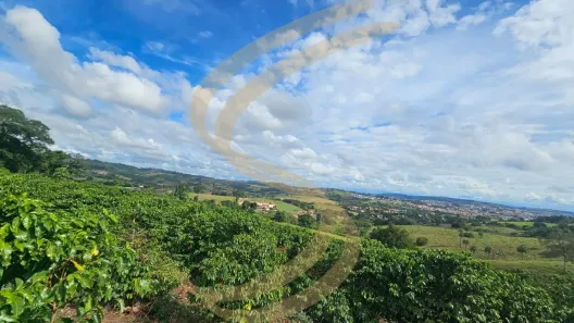 com 4 Quartos à venda, 7m² no Santa Luzia, São José do Rio Pardo