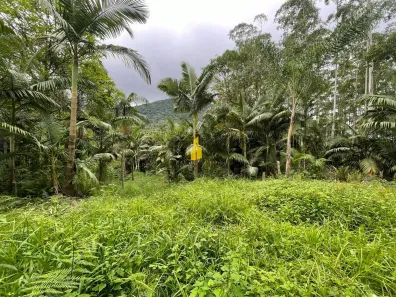Lote/Terreno à venda, 25000m² no Cedro Alto, Rio dos Cedros