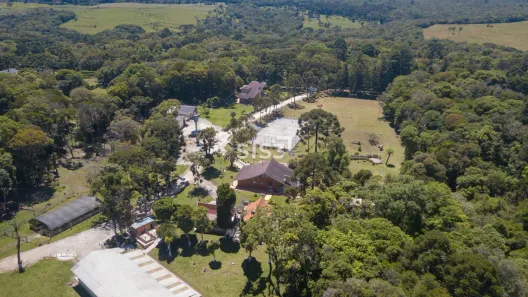 Fazenda/Sítio com 6 Quartos à venda, 270m² no Loteamento Chácara Chantecler, Piraquara